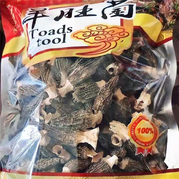羊肚菌